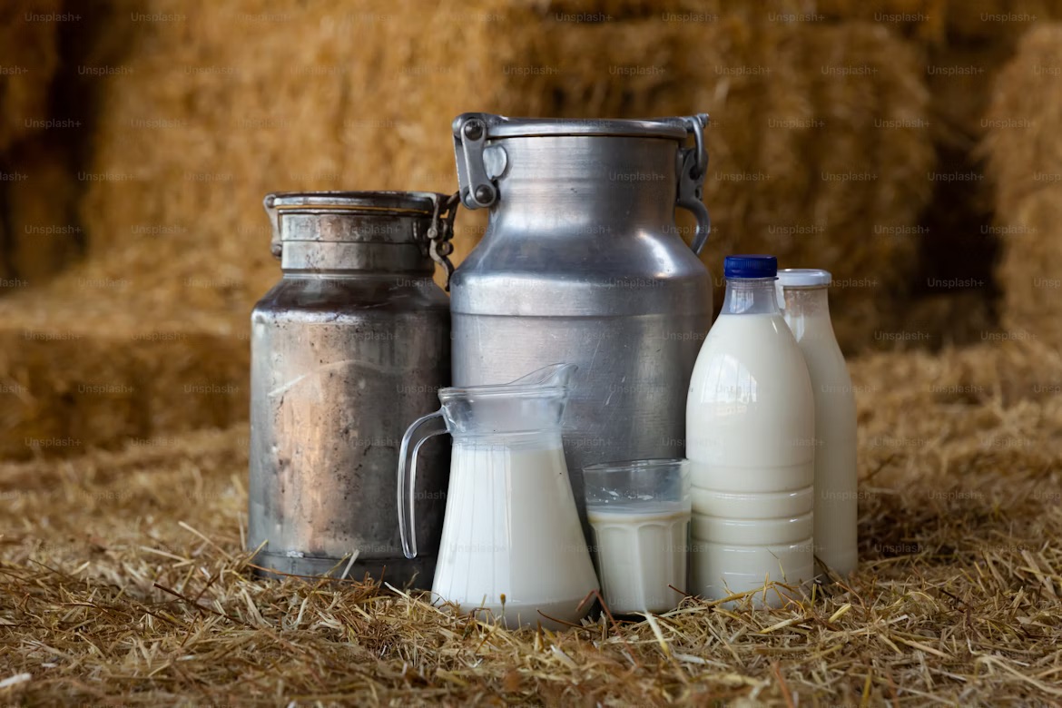 Fresh milk in a stainless steel vat